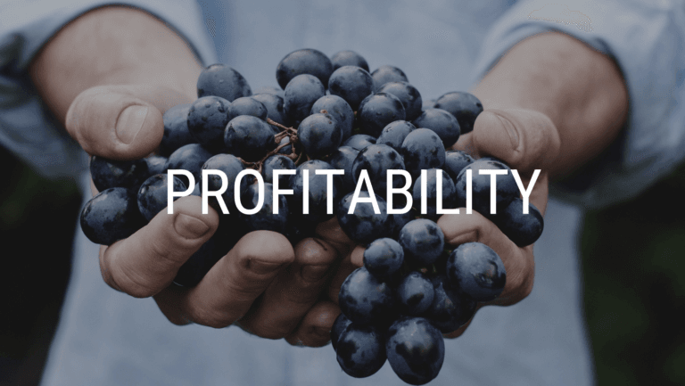 Profitability-Business-Flow-768x433.png