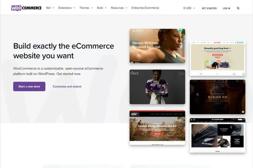 WooCommerce-Ecommerce-Solutions-jpg.webp